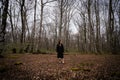 A lonely woman standing in a beech forest in autumn dressed in a black coat in a mystic atmosphere