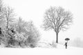 Lonely woman walking in snow storm Royalty Free Stock Photo