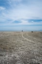 Lonely woman walks alone on the beach of the Salton Sea in Bombay Beach in California. Portrait view Royalty Free Stock Photo