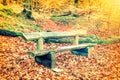 Lonely wooden bench in autumn forest