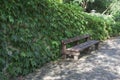 Lonely wooden bench in the park