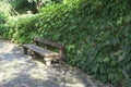 Lonely wooden bench in the park