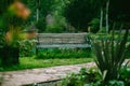 Lonely wooden bench in a park with green plants around. Old wooden bench to relax in the park Royalty Free Stock Photo