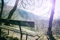 Lonely wooden bench