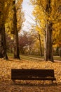 Lonely wooden bench surrounded by dry fallen leaves in a quiet park in an autumn afternoon Royalty Free Stock Photo