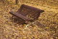 Lonely wooden bench surrounded by dry fallen leaves in a quiet park in an autumn afternoon Royalty Free Stock Photo