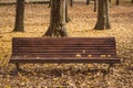 Lonely wooden bench surrounded by dry fallen leaves in a quiet park in an autumn afternoon Royalty Free Stock Photo