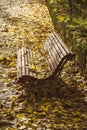 Lonely wooden bench surrounded by dry fallen leaves in a quiet park in an autumn afternoon Royalty Free Stock Photo