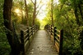 Lonely wooden bridge