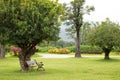 Lonely wooden chair in beautiful park. beautiful garden