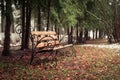 Lonely wrought iron bench in the park in late autumn