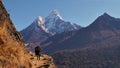 Lonely yak with black fur approaching on a hiking trail with ice-capped mountain Ama Dablam in background in Nepal.