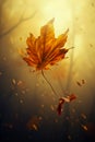 Lonely yellow falling fall leaf in the forest Royalty Free Stock Photo