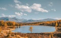 Lonely yellow tree at the mountain lake. Larch forest