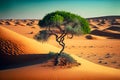 lonely young green tree against backdrop of sand dunes in desert Royalty Free Stock Photo