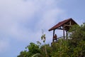 Lonely young man sitting under the roof of a hut in the jungle looking at the horizon, like a bird in a cage. Editing space. Bali