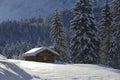 Lonesome cottage in winter Royalty Free Stock Photo
