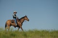 Lonesome Cowboy