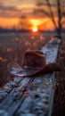 Lonesome Cowboy Hat Resting on a Barn Beam at Dusk The hat blurs with the wood Royalty Free Stock Photo