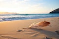 a lonesome feather resting on a calm sandy beach Royalty Free Stock Photo