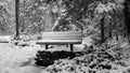 Lonesome Bench on a Snow Blizzard Royalty Free Stock Photo