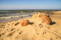 Lonesome, unaffected beach of the Baltic Sea Royalty Free Stock Photo