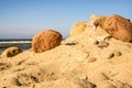 Lonesome, unaffected beach of the Baltic Sea Royalty Free Stock Photo