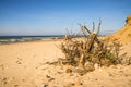 Lonesome, unaffected beach of the Baltic Sea Royalty Free Stock Photo