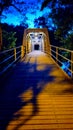 Loney city bridge over the river