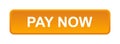 Pay now button Royalty Free Stock Photo