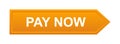 Pay now button Royalty Free Stock Photo
