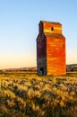 Long abandoned grain elevator