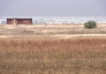 Old Boxcar and tree in pasture Royalty Free Stock Photo