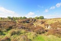 Long abandoned stone quarry on Stanton Moor in Derbyshire Royalty Free Stock Photo