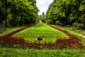 Long alley with green trees, grass and blooming tulips and forget-me-not flowers in Cismigiu park, Bucharest, Romania Royalty Free Stock Photo