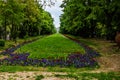 Long alley with green trees, grass and blooming tulips and forget-me-not flowers in Cismigiu park, Bucharest, Romania