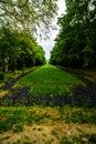 Long alley with green trees, grass and blooming tulips and forget-me-not flowers in Cismigiu park, Bucharest, Romania