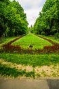 Long alley with green trees, grass and blooming tulips and forget-me-not flowers in Cismigiu park, Bucharest, Romania