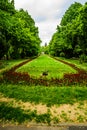 Long alley with green trees, grass and blooming tulips and forget-me-not flowers in Cismigiu park, Bucharest, Romania