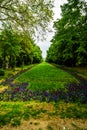 Long alley with green trees, grass and blooming tulips and forget-me-not flowers in Cismigiu park, Bucharest, Romania