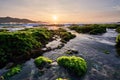 Long angle view of sunny morning over a rocky beach covered by green moss, Indonesia