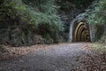 Long arched corridor among the forest Royalty Free Stock Photo