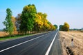 Long asphalt road and autumn trees Royalty Free Stock Photo