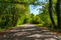 Long asphalt road between dense green trees