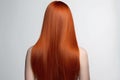 Long Auburn Straight Hair , Rear View On White Background. Generative AI