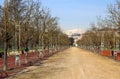 long Avenue in the public park called CAMPO MARZO in Vicenza, It