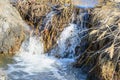 Long-awaited spring creeks flow over ravines and hills on a sunny day. Water rapids and waterfalls of streams among the dry grass Royalty Free Stock Photo