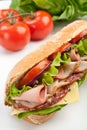 Long baguette sandwich with meat and vegetables Royalty Free Stock Photo