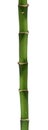 Long bamboo stick