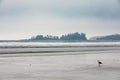 Long Beach Fog Tofino Vancouver Island BC Canada Royalty Free Stock Photo